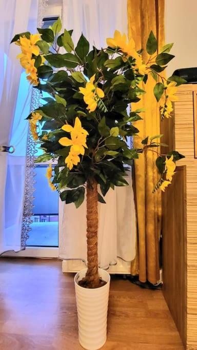 Cozy Modern Apartment Sunrise Studio 35M2 Balcony 3 Persons Cracovia Exterior foto